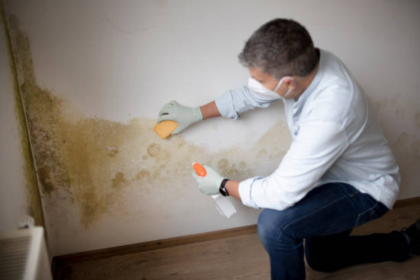 Best Crawl Space Mold Remediation  in Loudonville, OH